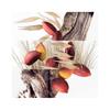 Hermès - Eau de Toilette Un Jardin à Cythère Nachfüllpackung 200 ml -