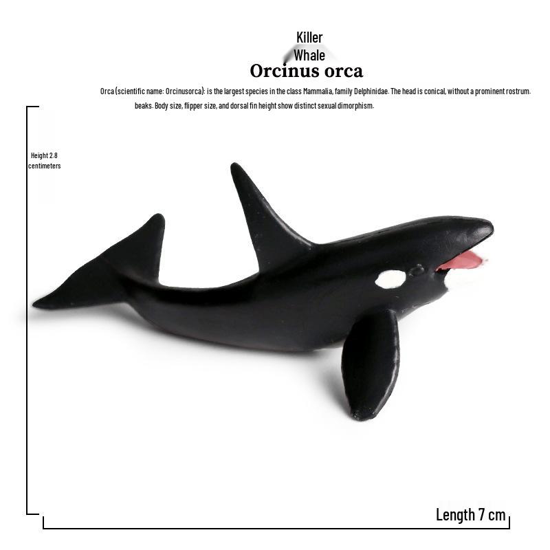 Marine Animal Models: Solid Trilobite, Sea Turtle, Dolphin, Blue Whale Toys for Children