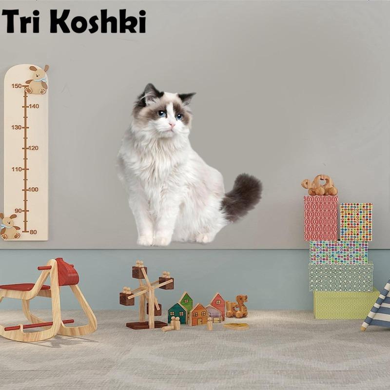 Tri koshki RC035 Anime Dog Ragdoll Sticker Waterproof PVC Decoration Door Living Room Kids Room