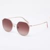 Aloeyewear [Air Titanium] AL2501 2424G Air Titanium Panto Rose Gold Sunglasses