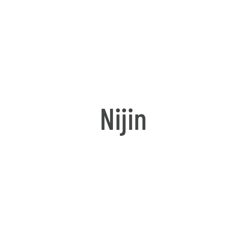 Ni Jing Automotive Parts for Buick GL8 LUZUN
