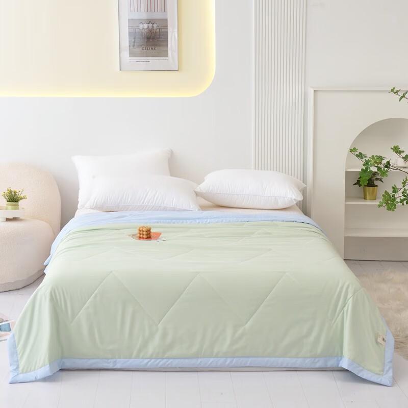 

Lanruoting Cloud Soft Quilt