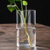 Transparent Glass Hydroponic Vase Minimalist Glass Vase Cylinder Flower Vase for Wedding Living Room Decorative Gift