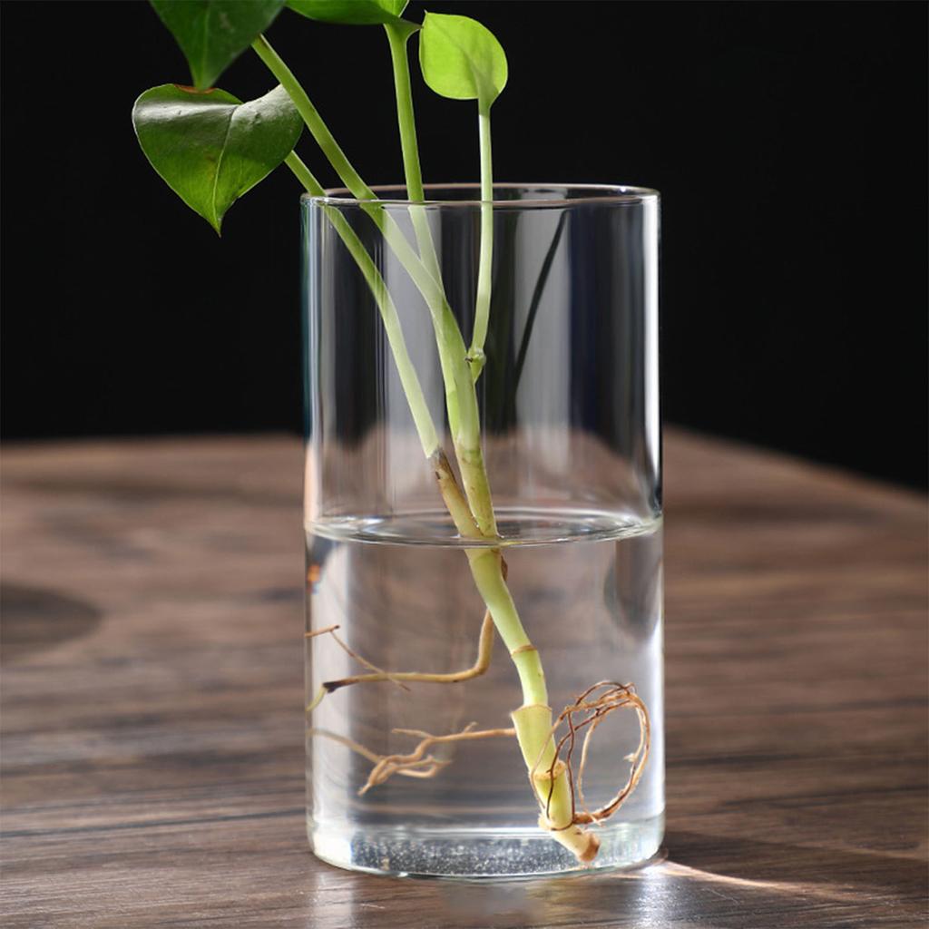 Transparent Glass Hydroponic Vase Minimalist Glass Vase Cylinder Flower Vase for Wedding Living Room Decorative Gift