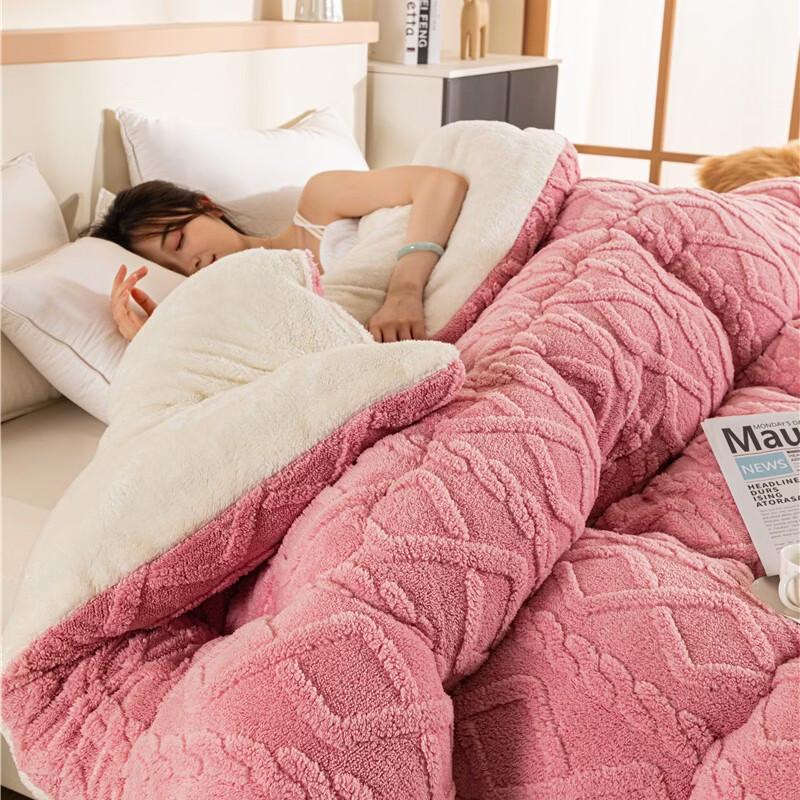 Brangdy Winter Warm Taffu Velvet Quilt