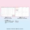 Sanrio Little Twin Stars B6 Diary ( Block Type ) 2026 Japan NEW