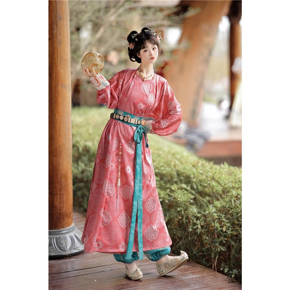 Chinese Tang Dynasty Style Hanfu Round Neck Robe Embroidered Bloomers Daily Suit