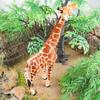 Oenux Zoo Afrika Wildtier Giraffe Simulationsmodell Actionfiguren PVC Pädagogisch Niedliches Spielzeug für Kinder