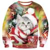 Autumn 3D Christmas Animals Printed Sweatshirts Fashionable Casual Sports Long Sleeved Men's and Women's Unisex Sweatshirts