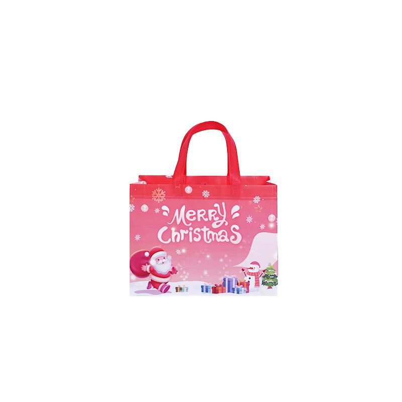 Christmas Style Laminated Non-Woven Gift Bag for Clothing & Shopping
