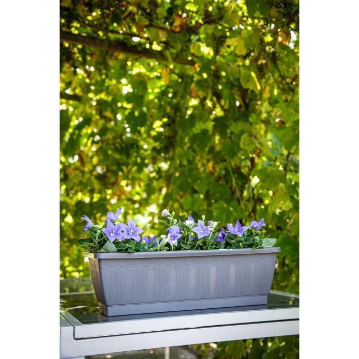 Jardiniere - GARDEN ID Terraflor - Anthracite 60cm - Solidité - Réserve d'eau - Recyclé &amp; 100% recyclable - Volume pour plantes.