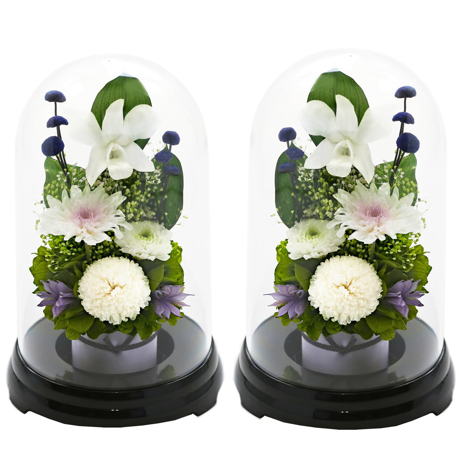 

Art Four Seasons Flower Mamu Dome Versus Design SET White Preserved Flower Offering