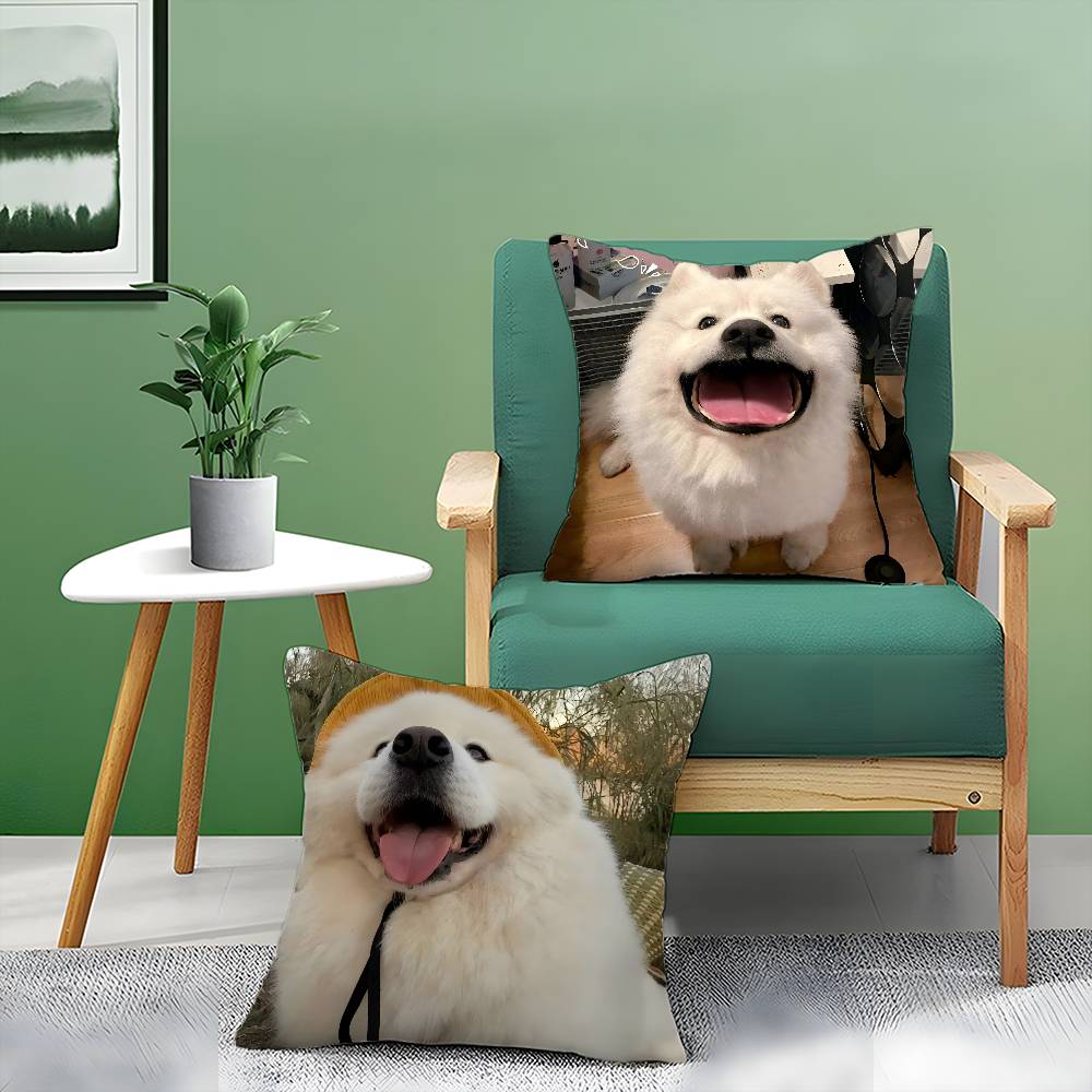 Happy Cute Puppy Smiling Sunshine Pillow Case Comfort Sofa Bed Silky Elegant Invisible Zipper Decorative Cushion Cover