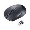 Sanwa Supply Wireless Blue LED Mouse (5 Buttons/Black) MA-WB509BK