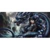 Large Size Mosaic DIY Full Diamond Painting Kits Art Fantasy Girl and Dragon Embroidery Cross Stitch Rhinestones