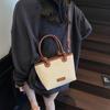 Vegetable Basket Contrasting Color Splicing Women's Summer New Lightweight Portable Shoulder Crossbody Small Square Bag