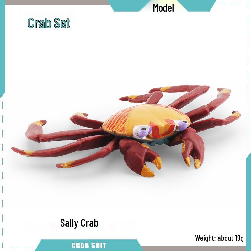 Marine Life Crab & Shrimp Model Ornament: Fiddler, Humpback, Open-mouthed, Red-clawed, Sally