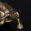 Schildkrötenstatue aus reinem Kupfer, Vintage-Schildkrötenfiguren aus Messing, für den Schreibtisch, Feng Shui-Ornament, Miniaturen, antikes Teehaustier, Basteln, Geschenke