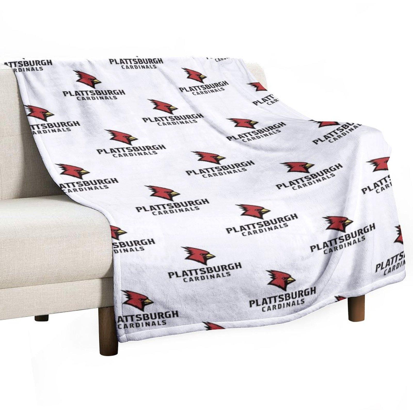 Plattsburgh Red Hawks Throw Blanket Soft Plaid Bed Fashionable Decorative Sofa Single Blankets 30x40in