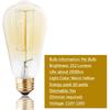 For Edison Light Bulbs, Vintage 60 Watt Incandescent Light Bulbs E26 Base Dimmable Decorative Antique Filament Light Bulbs 252 Lumens, Ray Amber Warm