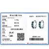 Tancise 925 Sterling Silver Zircon Earrings Drop Earrings For Women Wedding Party Gifts
