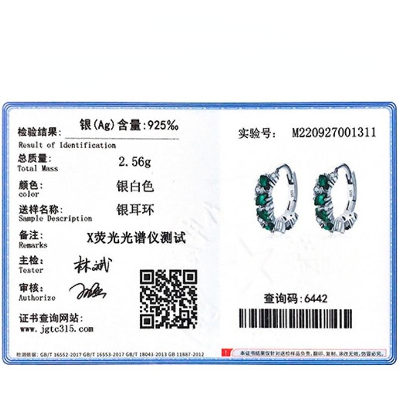 Tancise 925 Sterling Silver Zircon Earrings Drop Earrings For Women Wedding Party Gifts