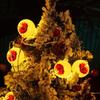 20Pcs Halloween Colorful Eyeball String Lights 2025 LED Battery Operated Eyeball Lights Halloween Party Decorations