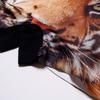 Hip Shop Herren Tier Tiger Unterwäsche, Größe LL