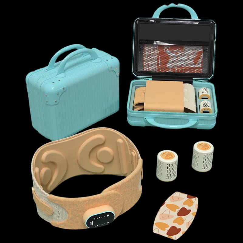 

HEZHENG Family Care Moxibustion & Waist Massager Gift Set