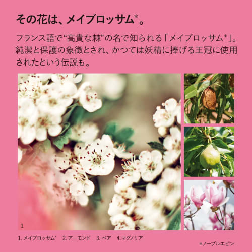 L'OCCITANE Noble Epin Shower Cream 250mL Body Soap, Popular for Men and Women, Birthday Gift, Present, or Return Gift