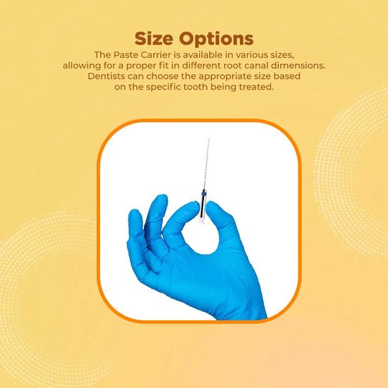 Waldent Paste Carrier (Lentulo Spiral) 21mm #25-40 (Pack of 4)