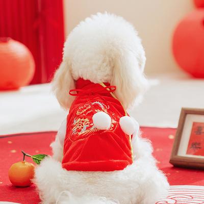 Pet Chinese New Year Clothes Bichon Yorkshire Small Dog Autumn and Winter Warm Two-legged Cat Winter Tang Clothing Dog Clothing