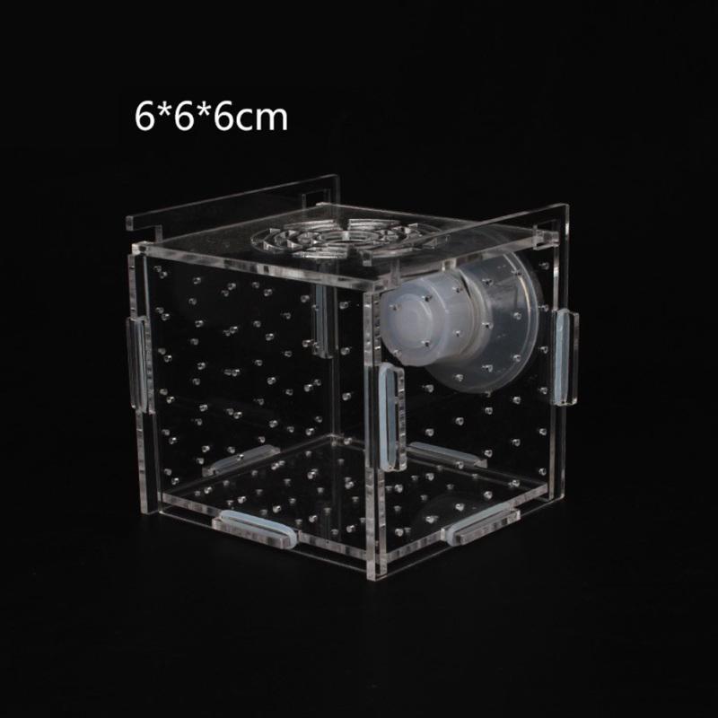 Single Grid Breeding Box Incubator Isolation Hairtail Nursery House Aquarium Accessaries
