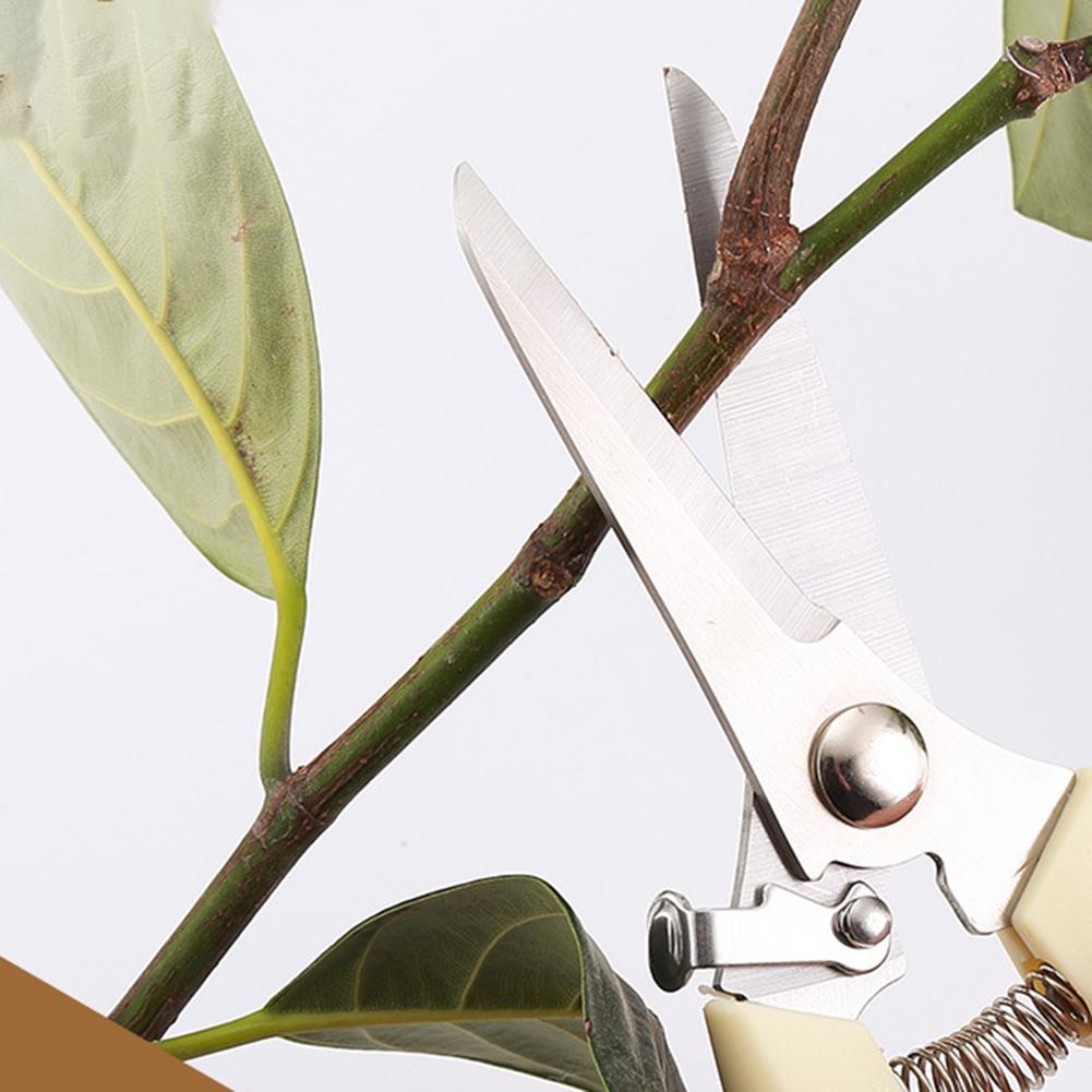 Comfortable Anti Slip Handle Pruners Stainless Steel Garden Shears