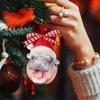 Moo Deng Hippopotamus Hanging Pendant Pygmy Hippo Car Haning Pendants  Party