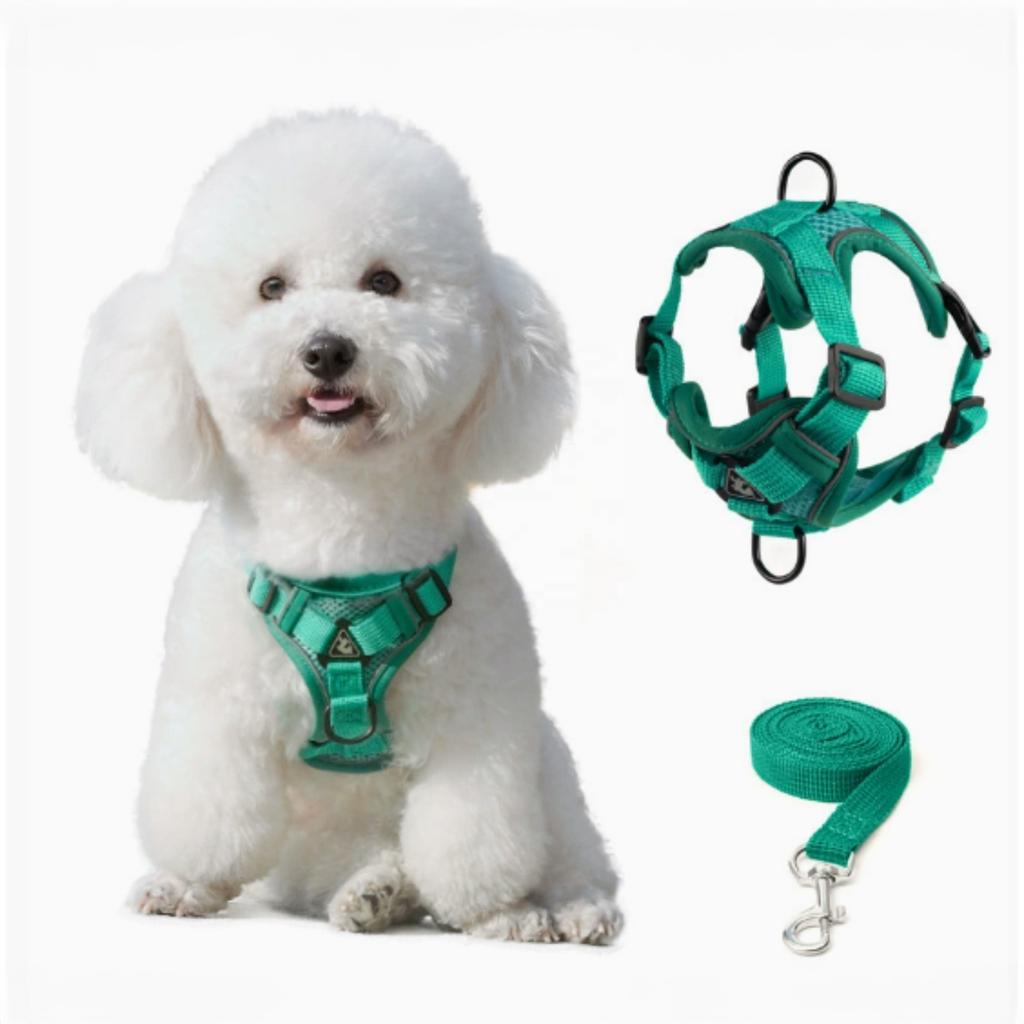 Luxury & Lovely Reflective Dog Accessories Soft Adjustable Harness Vest with Durable Leash for Dogs