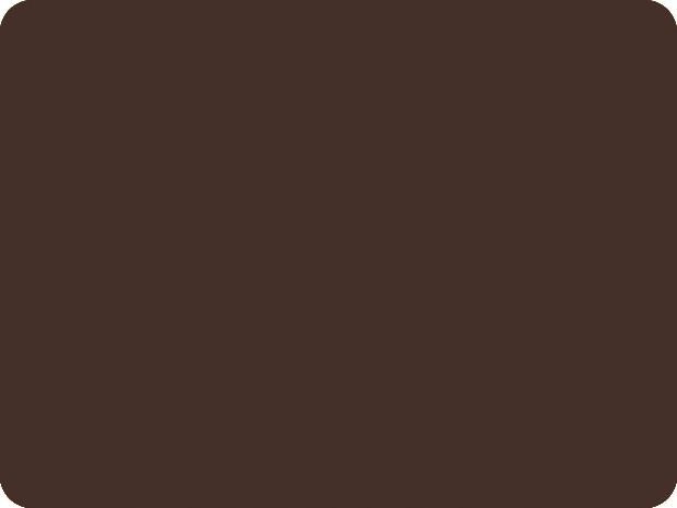 ACRYLIC SPRAY VARNISH RAL 8017 BROWN