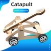 Jucărie Catapultă DIY Kit Experiment Științific DIY & Jucărie Model Educațional Jucării Științifice Fizice Pentru Copii Jucărie Cadou Proiect