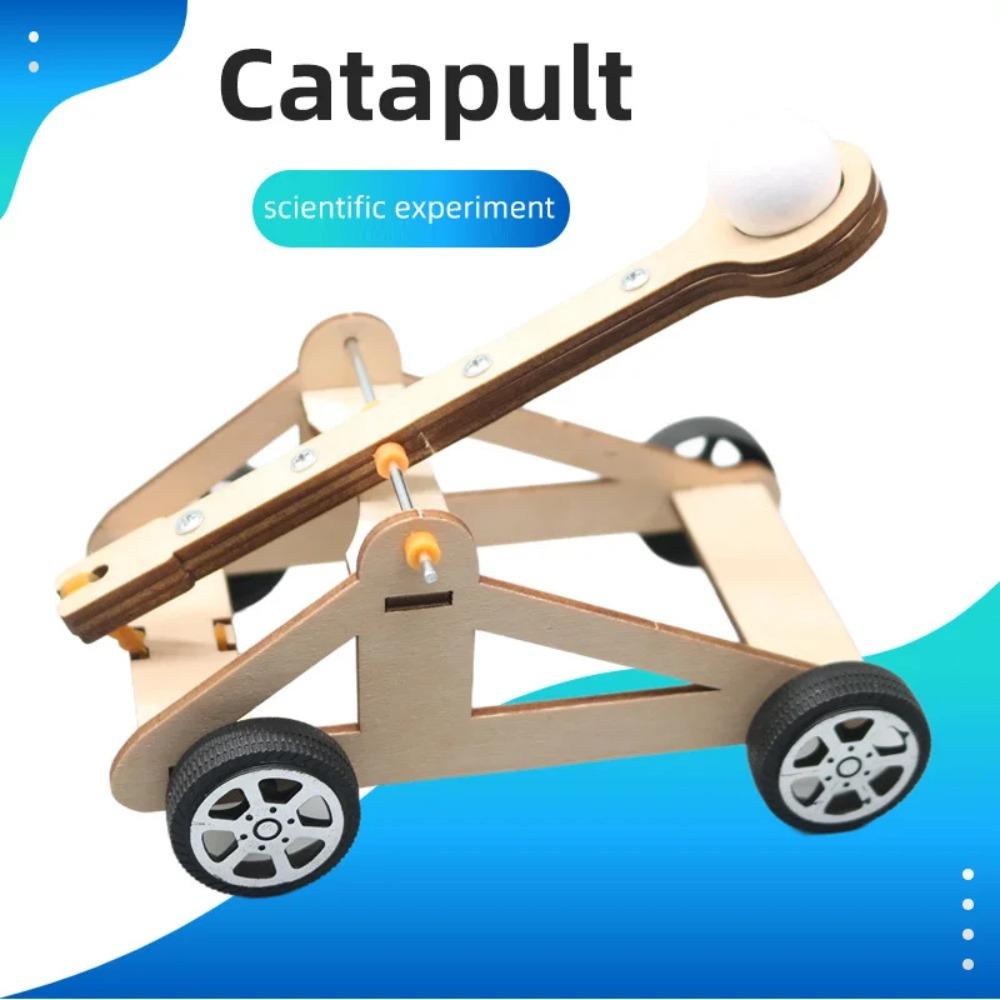 Catapulta Giocattolo Fai da Te Kit per Esperimenti Scientifici Fai da Te e Modello Educativo Giocattolo Giocattoli Scientifici di Fisica per Bambini Regalo Giocattolo Progetto