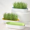 Pet Cat Grass Digestion Growing Tray Starter Dish Greenhouse Cat Germination Nursery Grass Hydr K2J3