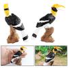Realistic Toucan Figure Observation Display Static Model Statue Bird Figurine Playhouses Layout Kids Basket Stuffings