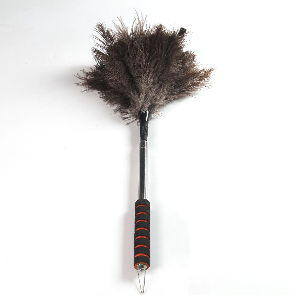 

Extendable Long Handle Duster - Telescoping Feather Dusting Brush for High Ceilings & Blinds