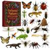 Unique Unboxing Experience 24-Day Christmas Countdown Calendar Box with 24 Insect And Reptile Acrylic Ornaments, 2D Creative Holiday Gifts Flat Animal