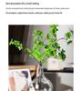 Transparent glas hydroponisk vas för blomsterarrangemang - Japansk klockblomma & Andromeda