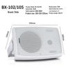 SHILE Professional Wall-Mounted Conference Audio System CN plug (adapter included)