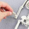 Accessories Biology Teaching Halloween Props Skeleton Model Human Bones Car Rearview Mirror Pendant