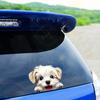Cute Animal Dog Car Sticker Waterproof PVC Double-Sided Printed Puppy Car Decal Funny Dog Peeking Decal for Car Window Bumper Truck Wall Laptop Car