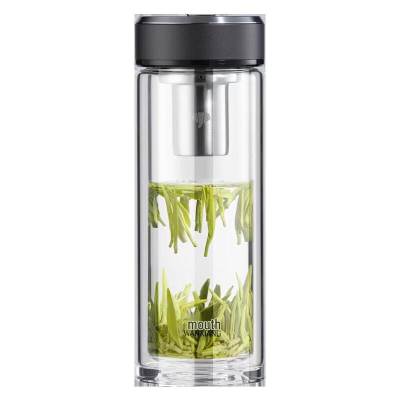 WANXIANG Double Wall Glass Tea & Travel Mug