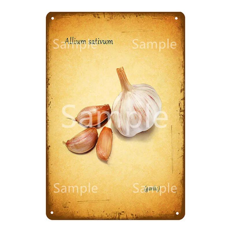 Thatchers Plaque Früchte Bananen Metallschild Vintage Bauernhof Dekoration Heimdeko Wandaufkleber Ladenmalerei Restaurant Poster YL168