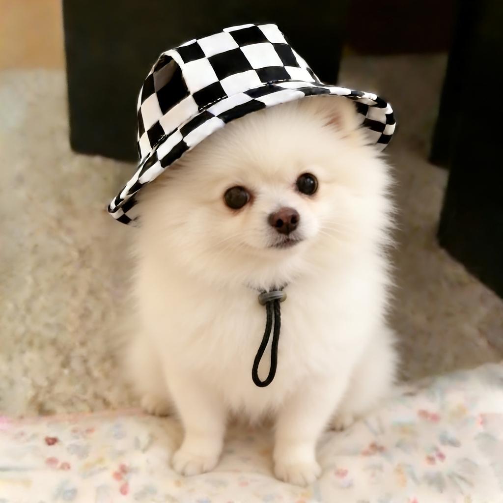 G62 Adjustable Pet Sun Hat with Chin Strap for Small Medium Dogs Cats Outdoor Travel Accessory Gift for Pet Owners